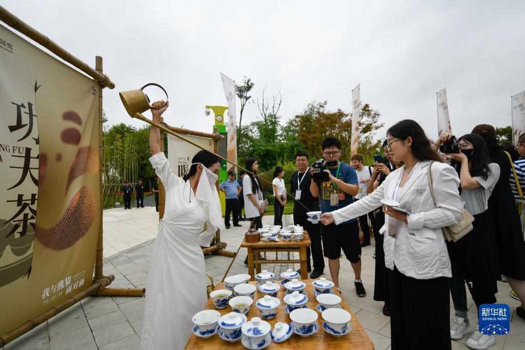 下载赠送彩金